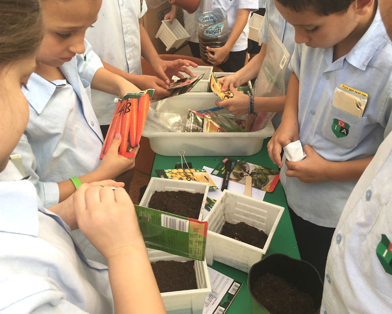 Planting in Plastic Pots